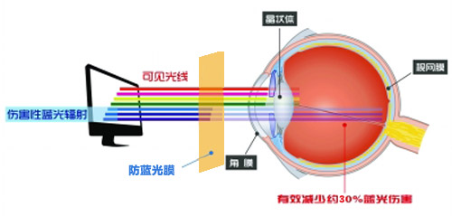 麻豆AV免费观看最新科技成果 麻豆精品在线播放成护眼利器 麻豆AV免费观看最新科技成果 麻豆精品在线播放成护眼利器